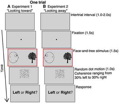 A motion aftereffect from viewing other people's gaze